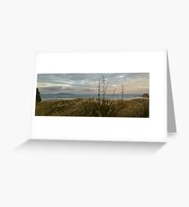 Mangawhai Heads beach Greeting Card