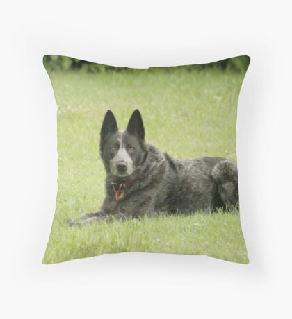 Blue Heeler: Throw Pillows | Redbubble