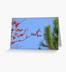 Red Blue Green Greeting Card