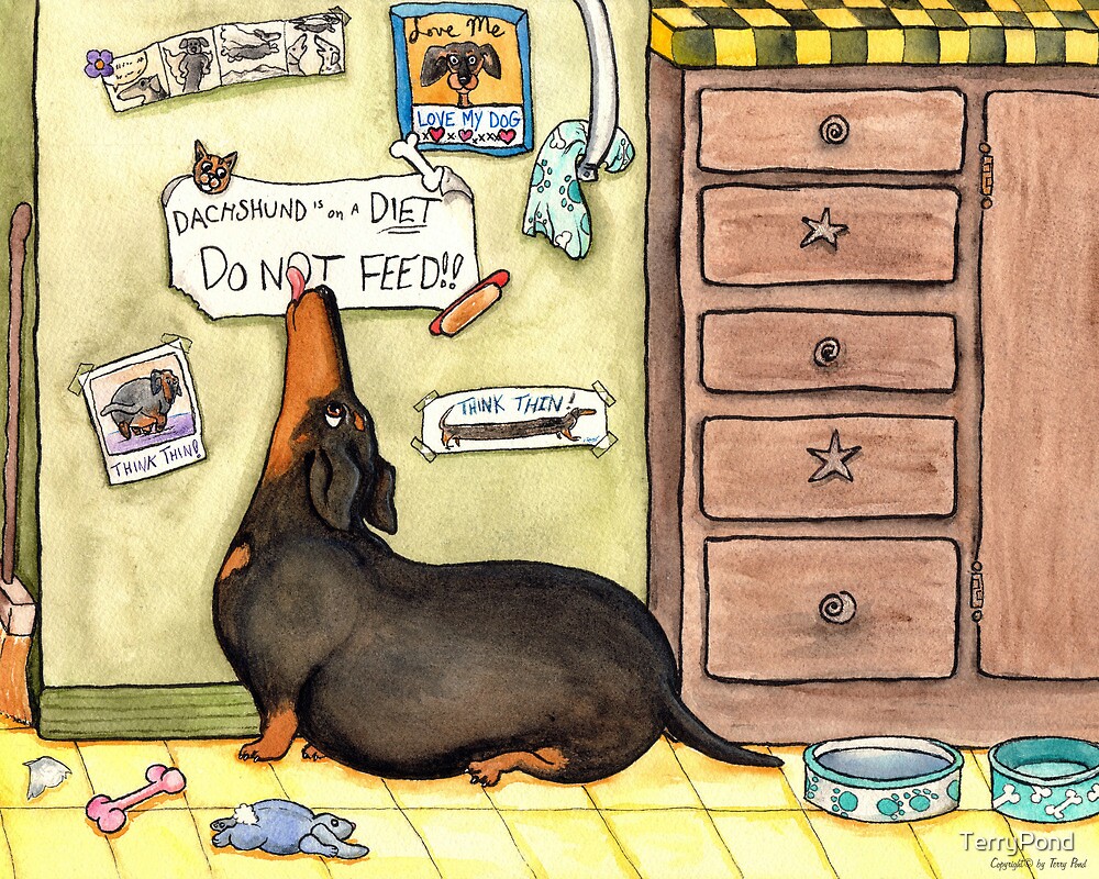 "Do Not Feed Dachshund" by TerryPond Redbubble