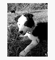 cap Photographic Print