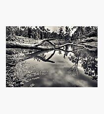 Crystal Pond Photographic Print
