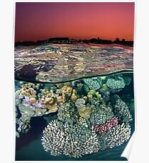 Sunset at the Red Sea Reef Poster