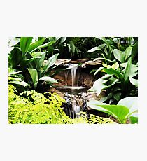 Fitzroy Gardens Melbourne, water feature Photographic Print