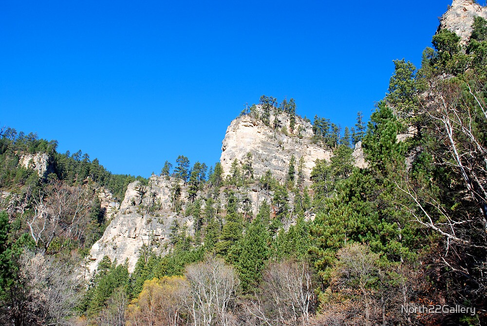 "Spearfish Canyon in Black Hills, South Dakota" by North22Gallery Redbubble