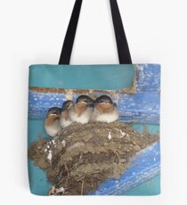 Swallows - all grown up and about to fly Tote Bag