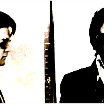 Artwork thumbnail, mugshot the king by greenarmyman