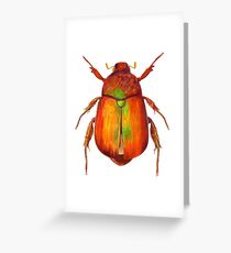 Iridescent Dune Chafer Beetle Greeting Card