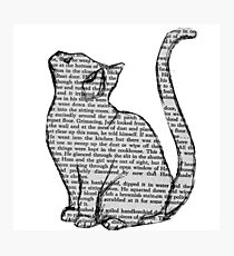 books and cats and books and cats Photographic Print