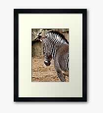 stomping grounds Framed Print