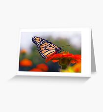 The Monarch Greeting Card