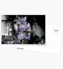 Cottage Splendor Postcards