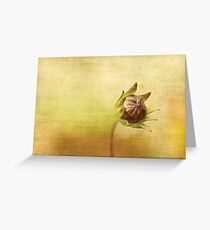 Cosmos Greeting Card