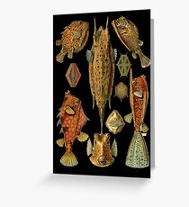 Fishes on Black Greeting Card