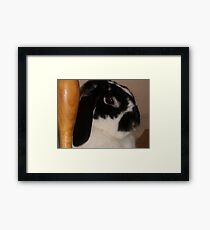 Winnie Framed Print