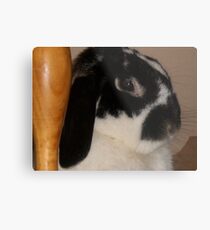 Winnie Metal Print