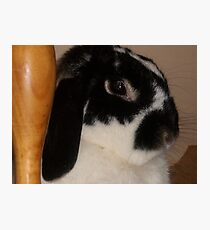 Winnie Photographic Print