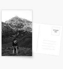 Snowdon Shadow Postcards