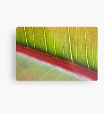 crossing the line to grow neatly Metal Print