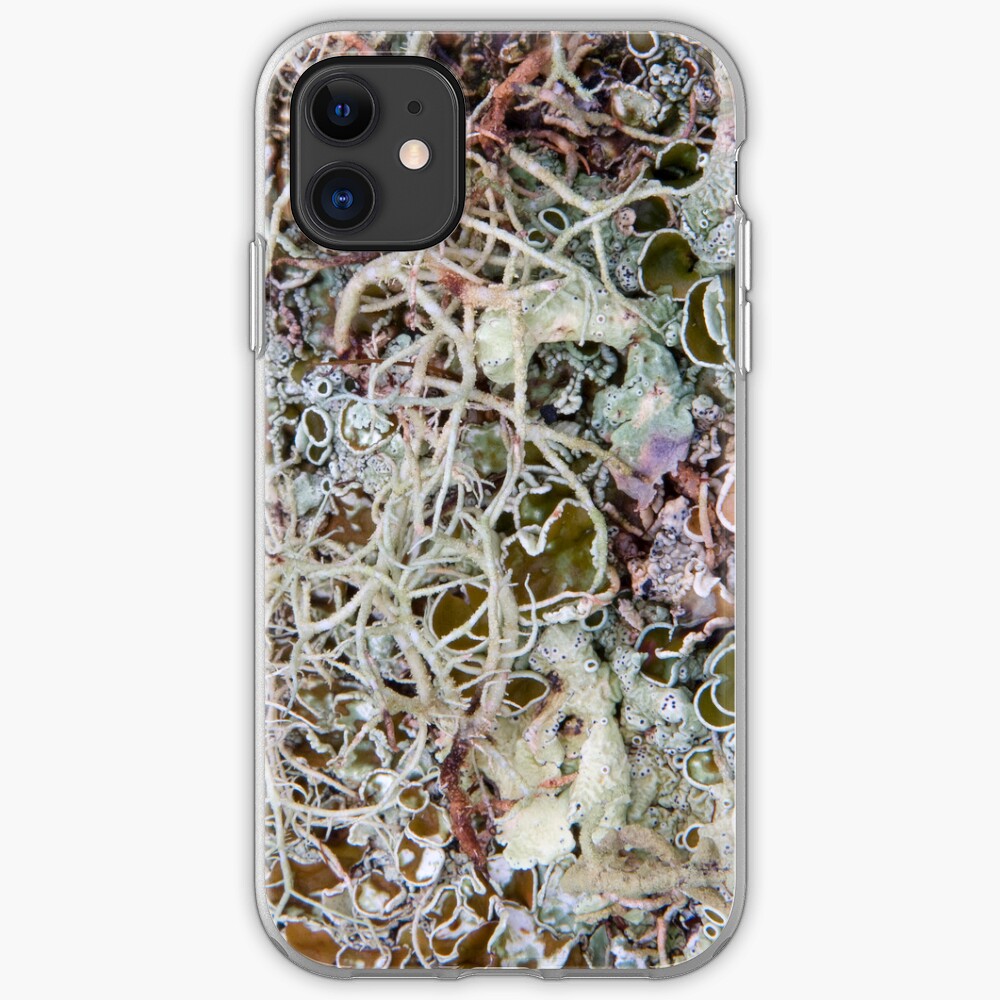 iPhone case Lichen iPhone Case & Cover