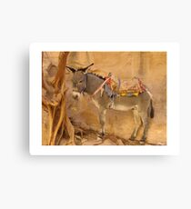 Donkey at Petra Canvas Print