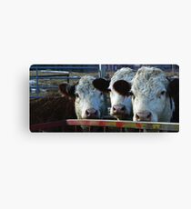 You're Being Watched..... Canvas Print