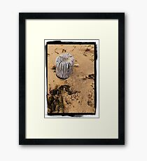 Pier Review Framed Print