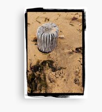Pier Review Canvas Print