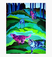 The Pack Photographic Print