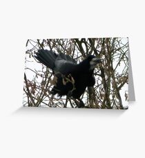 Noisy Rook Greeting Card
