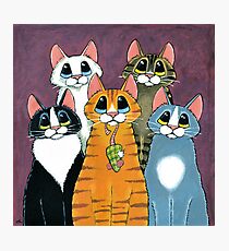 A Feline Family Portrait Photographic Print