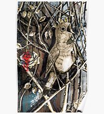 The Nightingale and the Rose Poster