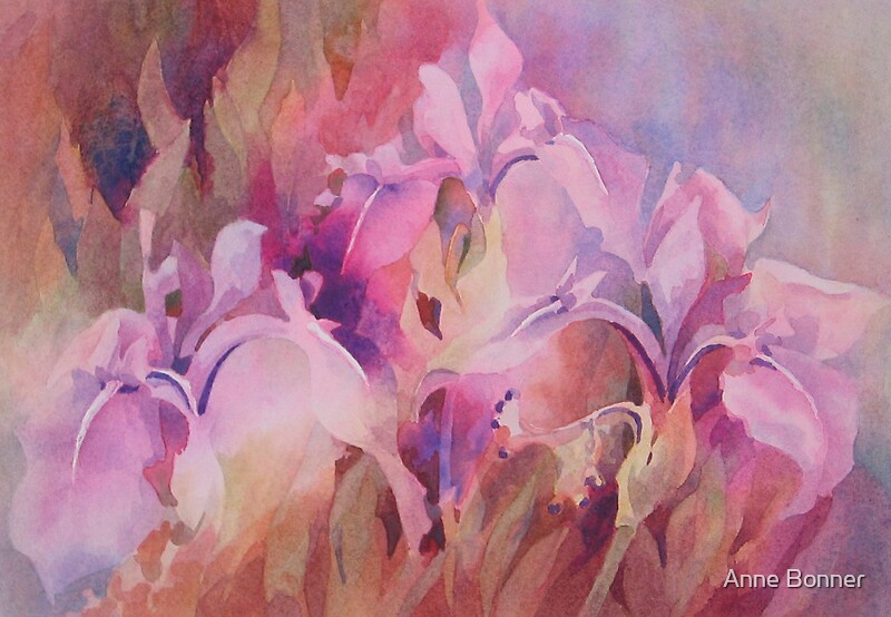 Watercolours By Anne Bonner Redbubble