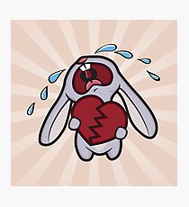 Broken Hearted Bunny Photographic Print