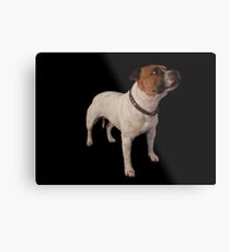 Gizmo (Seenworstaff Stand By Me) Metal Print