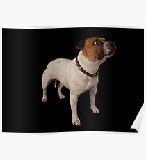 Gizmo (Seenworstaff Stand By Me) Poster