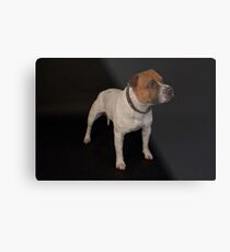 Gizmo (Seenworstaff Stand By Me) Metal Print