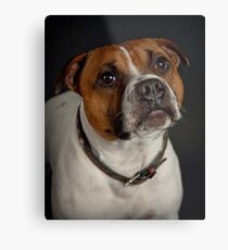 Gizmo (Seenworstaff Stand By Me) Metal Print