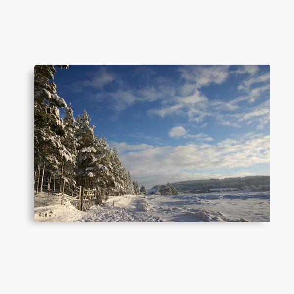 Christmas Day, Tomatin, Cairngorm & Monadhliath Canvas Print
