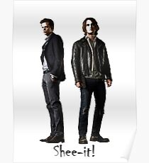 Roman & Peter Shee-it! Poster
