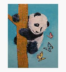 Panda Schmetterlinge Fotodruck
