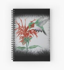 Anna's Hummingbird and Bee Balm Spiral Notebook