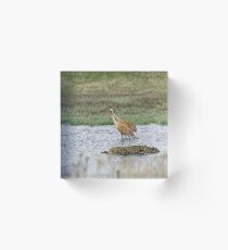Sandhills Acrylic Block