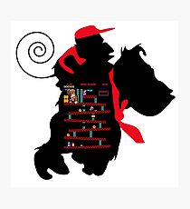 Donkey Kong Photographic Print