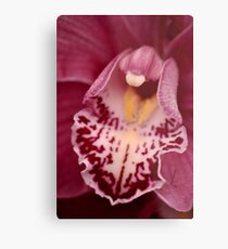 Pink Orchid Metal Print