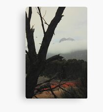 Trousers Point Canvas Print