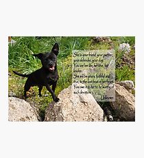 Black Chihuahua dog. Photographic Print