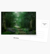 Spirit of the Woods Postcards