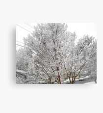 Feb. 19 2012 Snowstorm 13 Canvas Print