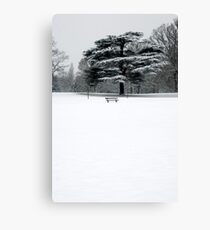 WInter 2 Canvas Print